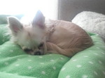 2009041911030000.jpg