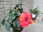 2009062807430000.jpg