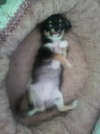 2009090708150000.jpg