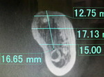 2010051509460000.jpg