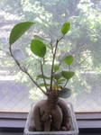 2010051512390000.jpg