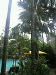2010080708160000.jpg