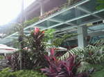 2010080708160001.jpg