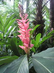 2010080808420000.jpg