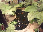 2010080822120000.jpg
