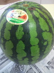 2010081013150000.jpg