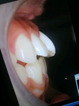 2010081817500000.jpg
