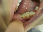 2010082410270000.jpg