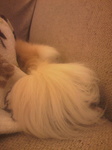 2010082423320000.jpg