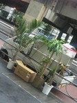 2010091615390000.jpg