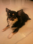 2010092122070001.jpg
