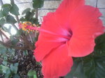 2010092208210000.jpg