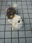 2010092613580000.jpg