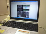 2010092718110000.jpg