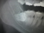 2010100719270000.jpg