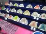 2010102020490000.jpg