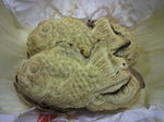 2010102918220000.jpg