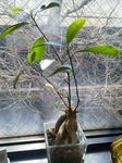 2012030310310000.jpg