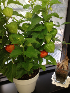 image-20120710091222.png